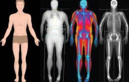 Body Fat Compostion Testing